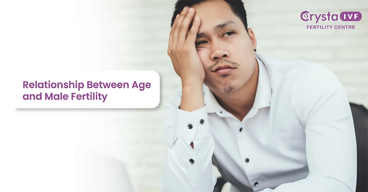 Male Fertility Facts
