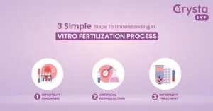 ivf process step by step