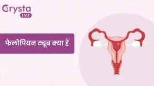 fallopian tubes - फैलोपियन ट्यूब क्या है।