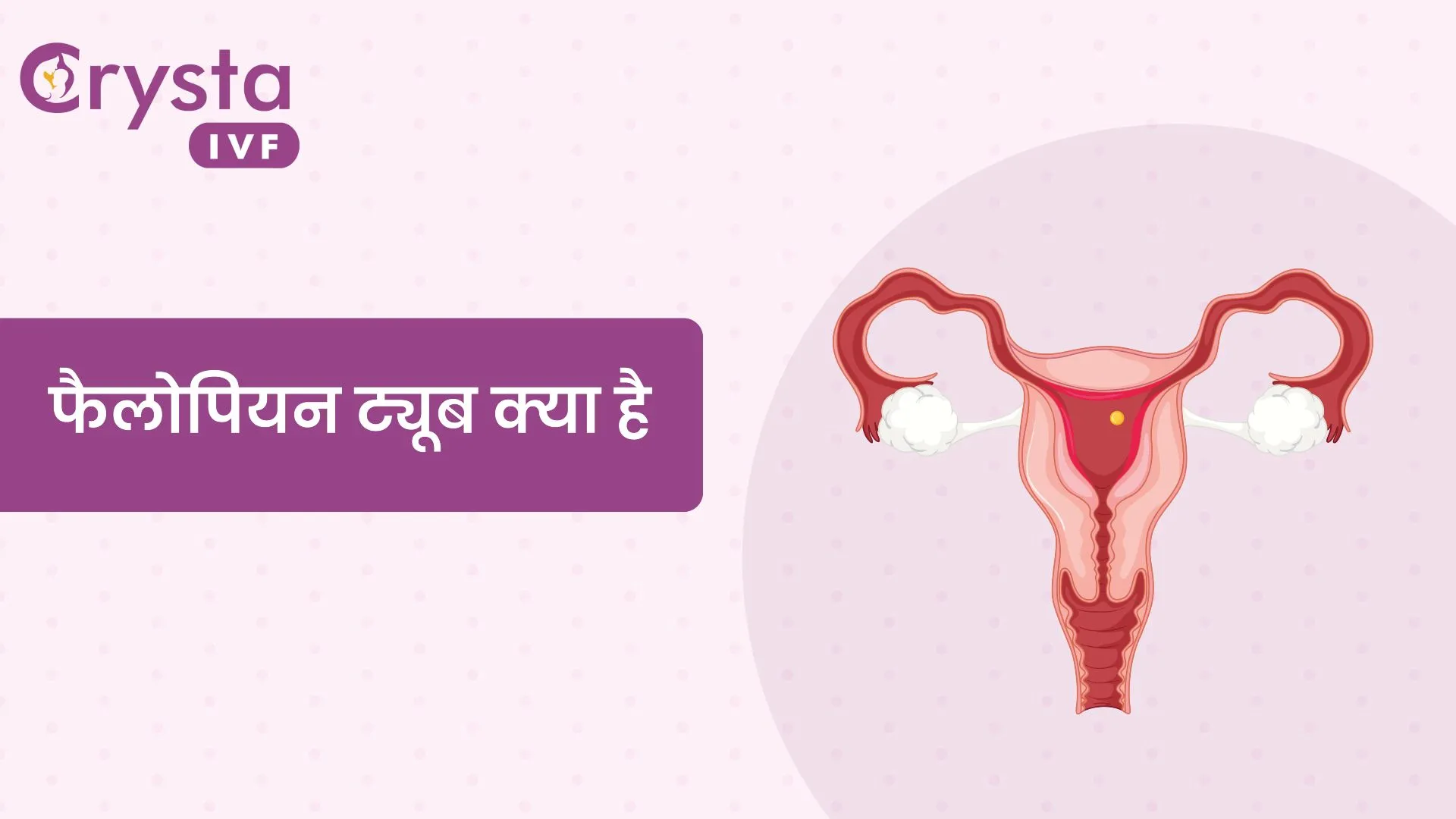 fallopian tubes - फैलोपियन ट्यूब क्या है।